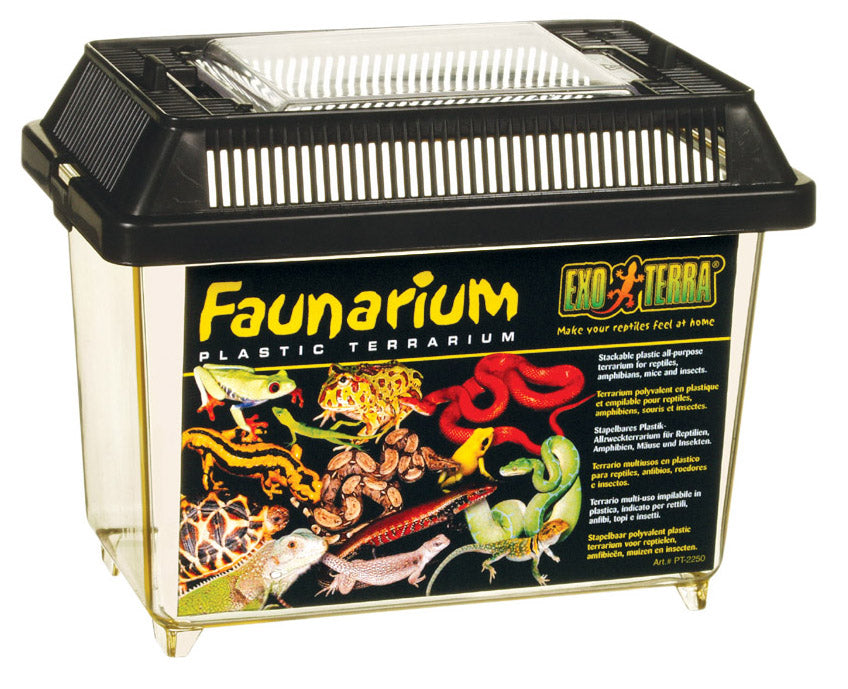 Exo Terra Faunarium Mini 24 pack *New*