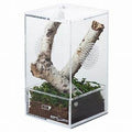 Reptizoo Acrylic Enclosure 10X10x20