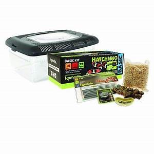 Komodo Basic Hatchling Starter Kit 35x23x15cm