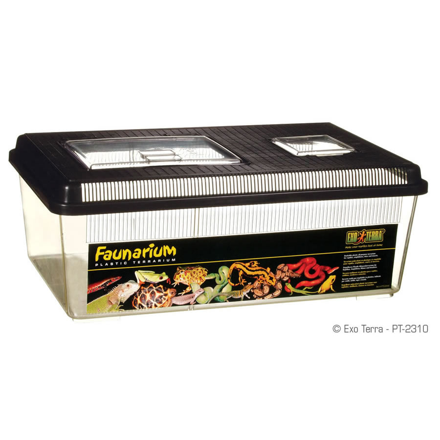 Exo Terra Flat Faunarium Large