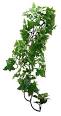 Happy Pet Products Limited Komodo Philodendron Plant 60cm