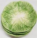 HP Pet Platter Green Leaf Bowl 5`
