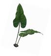 Komodo Artificial Plant - Large Philodendron