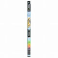 RS Zone 1 T5 300mm (12`) 8w