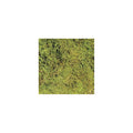 Zoo Med Terrarium Moss Large 2.3L CF2-L