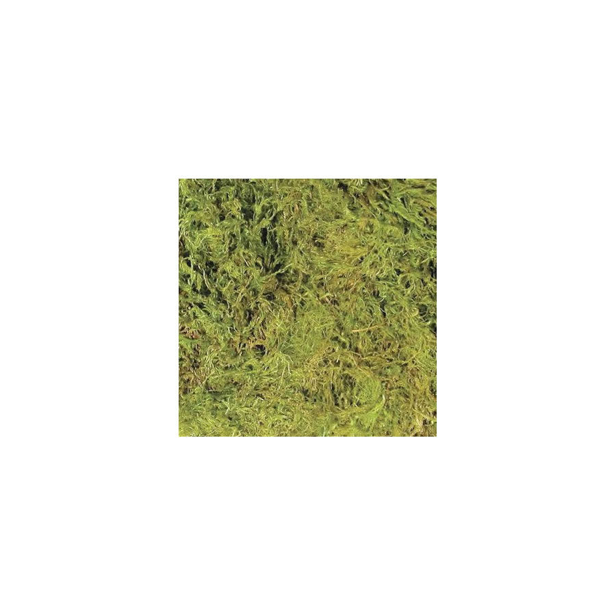 Zoo Med Terrarium Moss Large 2.3L CF2-L