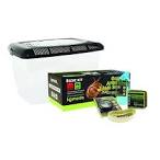 Komodo Basic GiantAfrican Land Snail Kit 39x25x24.5