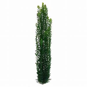 Artifical Underwater Plant 100cm - B
