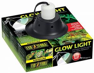 Exo Terra Glow Light & Reflector Medium 21cm