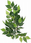 Silk Ficus Plant - Small