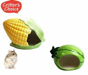 Small Animal Ceramic Hideout-watermelon