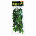 Silk Ficus Plant - Medium