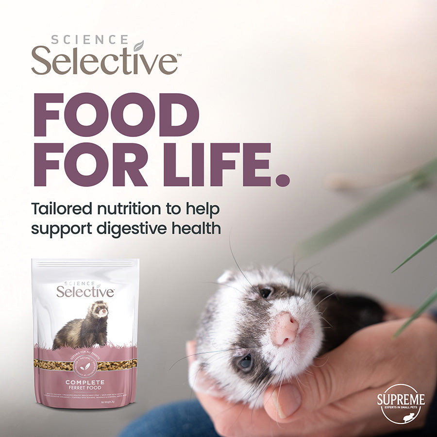 Selective Ferret Chicken & Turkey (2kg)