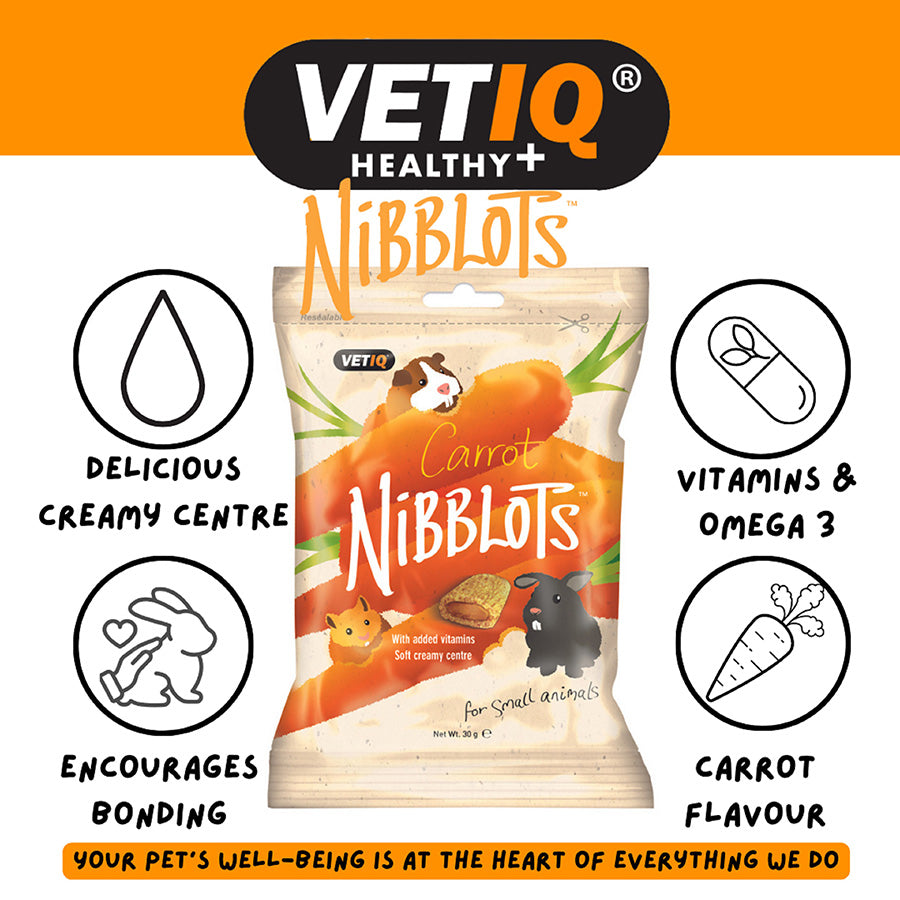 Nibblots Carrot