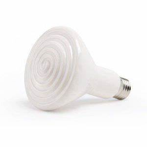 Ceramic Heater Lamp 200w
