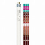 Arcadia D3+ Dragon T5 Lamp, 14% UVB, 56cm (22`), 24 Watt