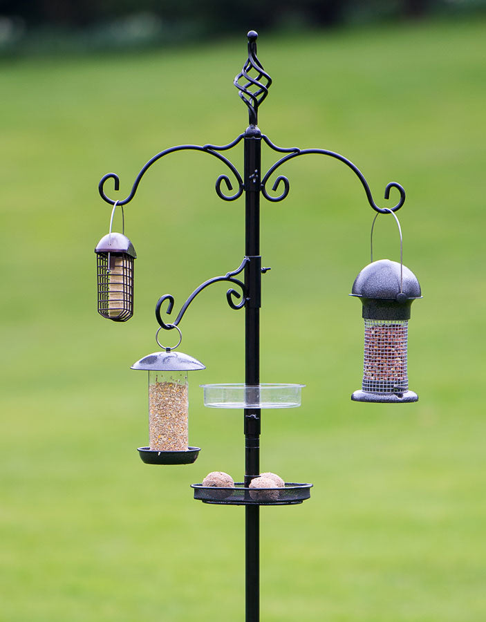 Deluxe Wild Bird Feeding Station