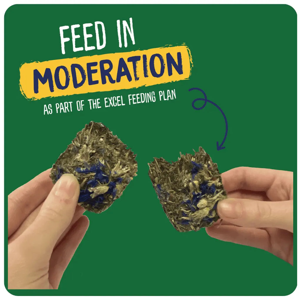 Burgess Excel Forage & Feast Bar Cornflower