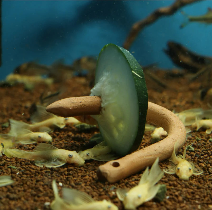 Ceramic Nature Feeding Hook Red