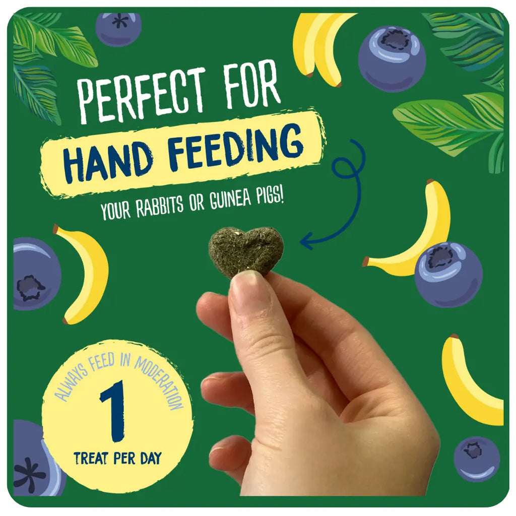 Burgess Excel Nature Snacks Fruity Feast With Banna & Blueberry