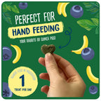 Burgess Excel Nature Snacks Fruity Feast With Banna & Blueberry