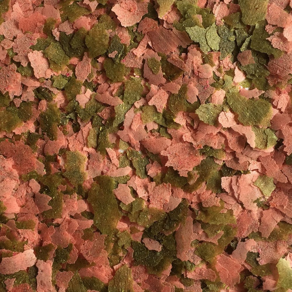 Fish Science Goldfish Flakes 20g