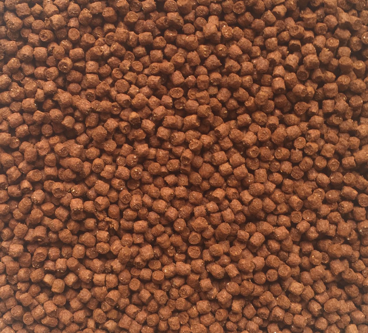 Fish Science Goldfish Sinking Pellets 55G
