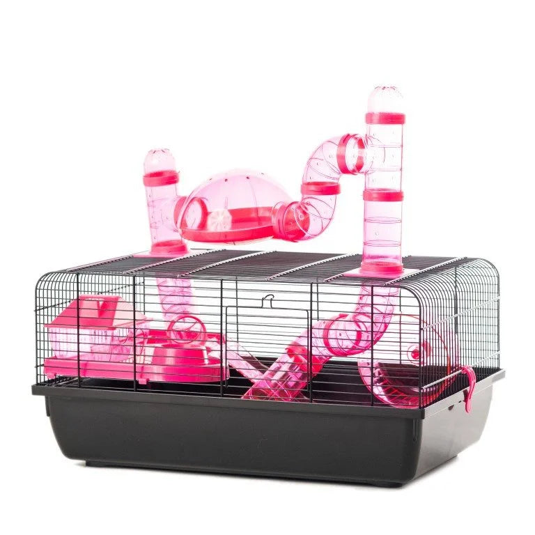 The Landmark Cage (Pink)