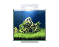 Ciano Nexus Pure 15 Cube Aquarium + LED Light