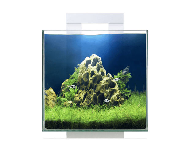 Ciano Nexus Pure 15 Cube Aquarium + LED Light