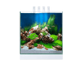 Ciano Nexus Pure 25 Aquarium With LED Light