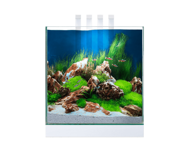 Ciano Nexus Pure 25 Aquarium With LED Light
