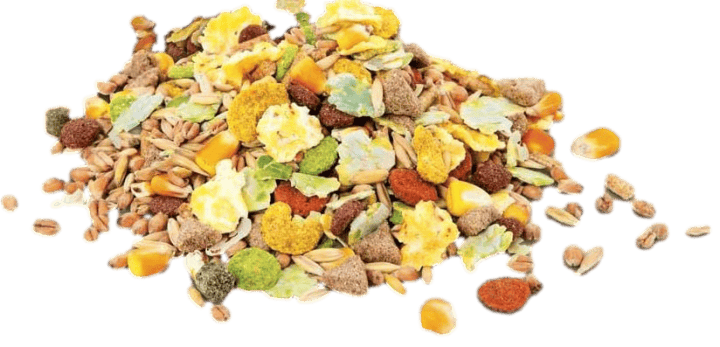 Rat & Mouse Food Mix 2kg