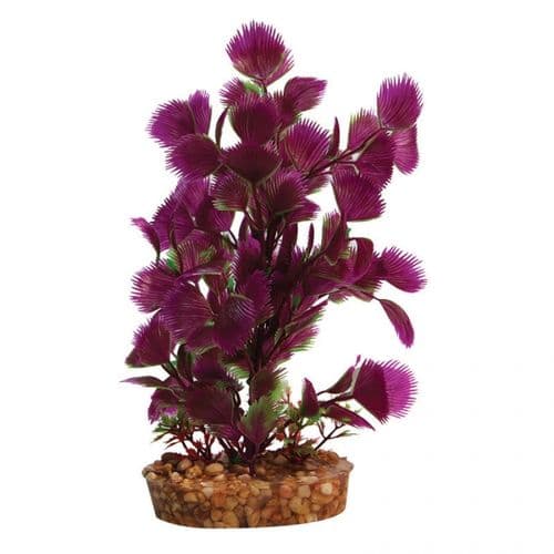 Purple Plant 90cm