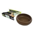 Mealworm Dish