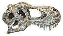 Happy Pet Komodo T Rex Skull Large