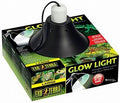 Exo Terra Glow Light & Reflector Large 25cm