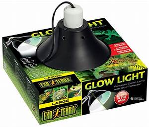 Exo Terra Glow Light & Reflector Large 25cm