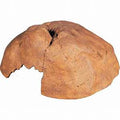 Ex Large Hide Out Cave