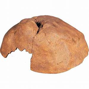 Ex Large Hide Out Cave