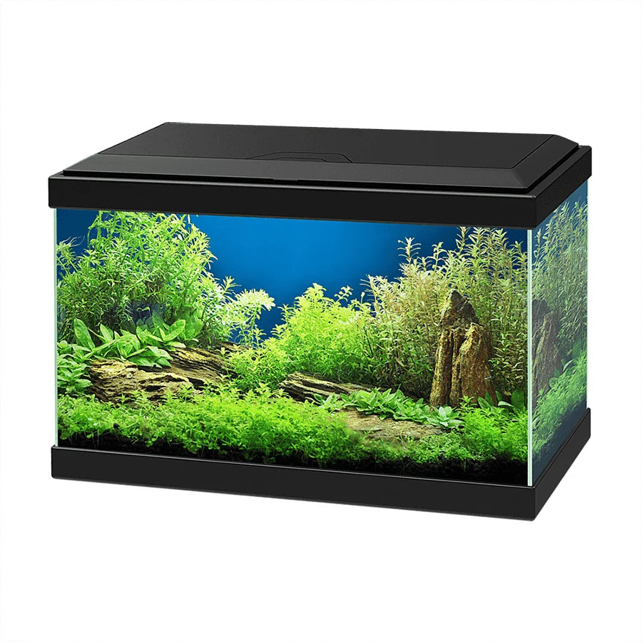 Ciano Aqua 20 Aquarium With LED Light - Black
