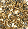 Cockatiel Mix (1kg)