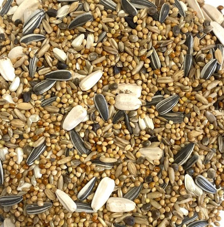 Cockatiel Mix (1kg)