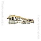 Happy Pet Komodo Raptor Skull Small