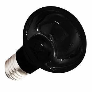 Moonlight Glow Spot Lamp Es 75w