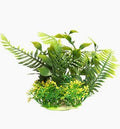 Aqua one Fern Green (S, 10cm)