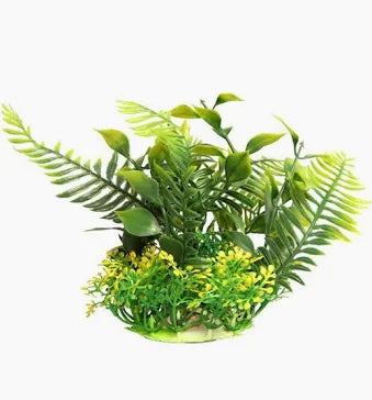 Aqua one Fern Green (S, 10cm)