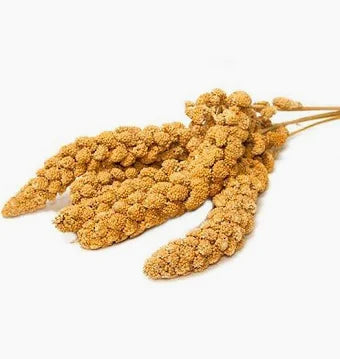 Millet Spray
