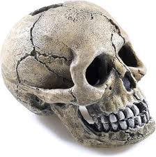 Classic Spooky Skull