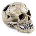 Classic Cracked Skull